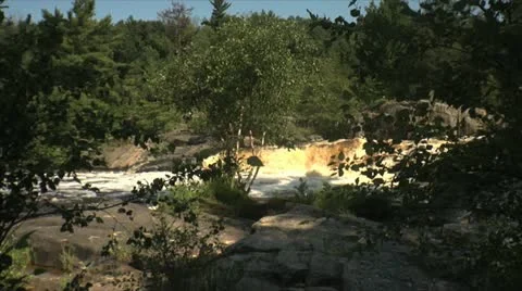 Waterfall through Trees Vidéo 12019815