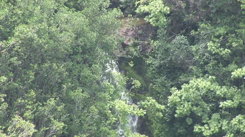 Waterfall Through the Trees Stock Footage 23711716