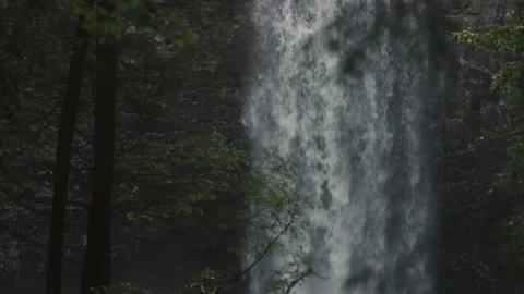 Waterfall Through Trees Vídeo Stock 132904686