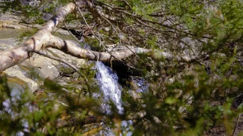 Waterfall through the trees Stockbeeldmateriaal 235862706