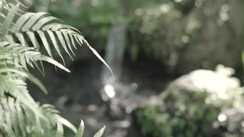 Waterfall - Tilt down/Pan left Video stock 145572249