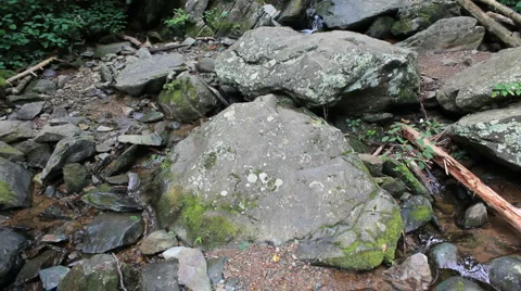 Waterfall tilt Stock Footage 1002595