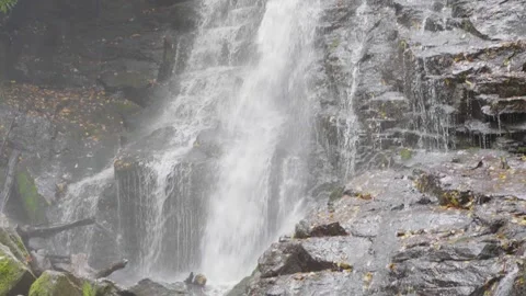 Waterfall Tilt Shot Vidéo 152535894