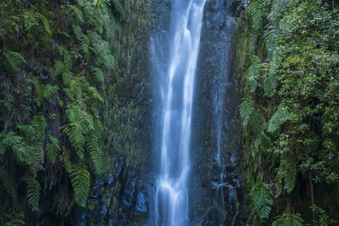 Waterfall timelapse loop Stock Footage 255326630