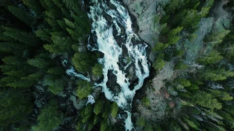 Waterfall Top-down Drone View in Roosevelt National Forest Stock Footage 276675727