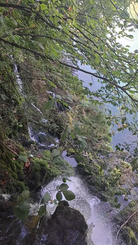 Waterfall Top View Short Video Video stock 264390052
