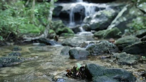 Waterfall Tracking slider footage Stock Footage 77724693
