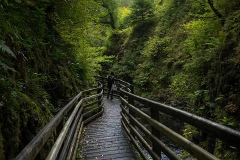 Waterfall Trail Glenariff Forest Park, Northern Ireland. Stock Photos