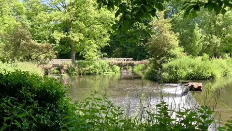 Waterfall in a tranquil river and forest landscape scene Stock Footage 132874142