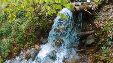 Waterfall in a transparent mountain stream with a green tress Stock Footage 107337408