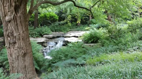 Waterfall with tree in foreground Stock Footage 12439994