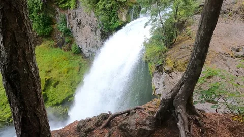Waterfall tree shot Stock Footage 294119679