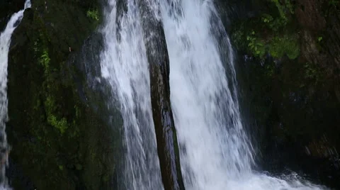 Waterfall, tree trank Stock-Footage 49807791