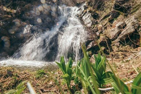 A waterfall with trees in the background Stock Photos