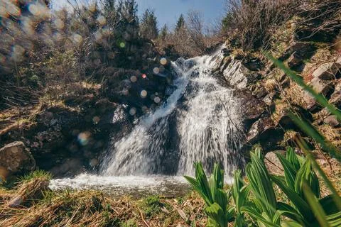 A waterfall with trees in the background Stock Photos