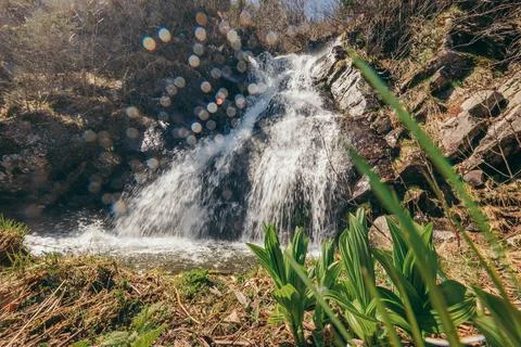A waterfall with trees in the background Stock Photos