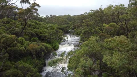 Waterfall in trees Video stock 239429996