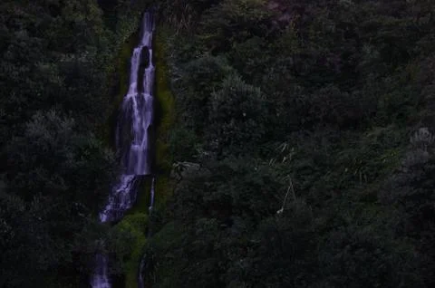 Waterfall &amp; Trees Stock Photos