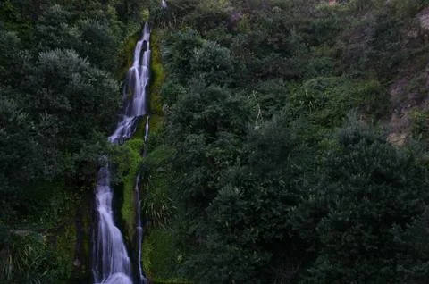 Waterfall &amp; Trees Stock-Fotos