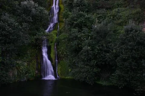 Waterfall, Trees &amp; Pond Stock-Fotos