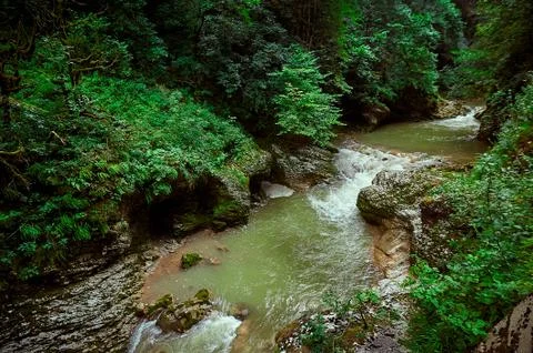 A waterfall with trees on the side of a river Stock Photos