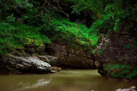 A waterfall with trees on the side of a river Stock Photos