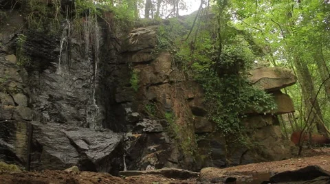 Waterfall Trickles Down In Forest Stock Footage 53233035
