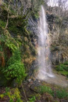 Waterfall trickles down a vegetated limestone rock wall Stock Photos