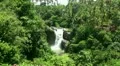 Waterfall in the tropic jungle Bali Indonesia HD Footage