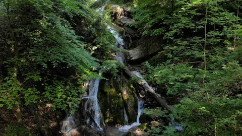 Waterfall In A Tropical Forest Stock Footage 95674314