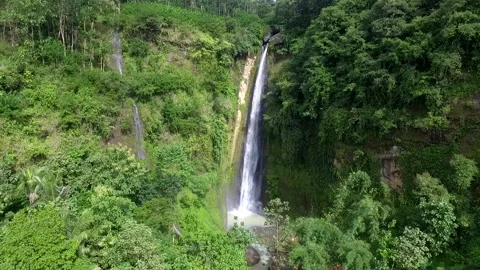 Waterfall in tropical forest Stock Footage 154184869