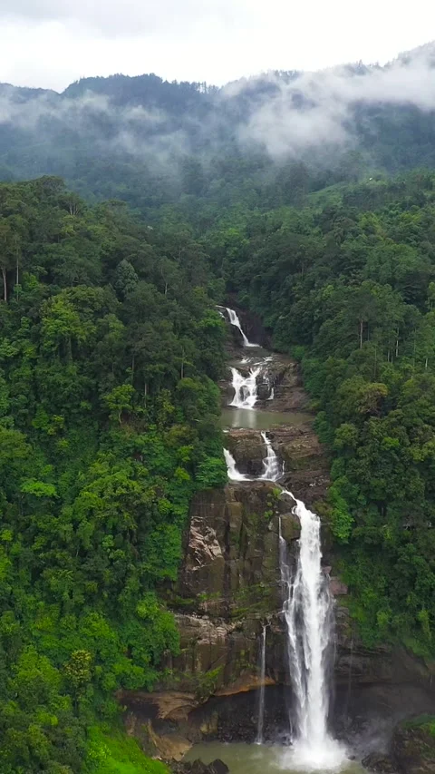 Waterfall in a tropical forest. Stock Footage 252185552