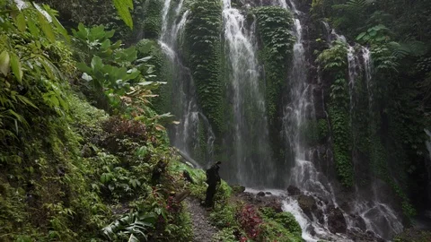 Waterfall in tropical forest. Jungle waterfall cascade with rock Stock Footage 126779361