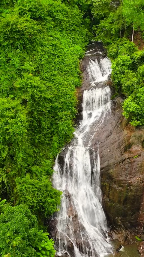 Waterfall in a tropical forest. Kuda Falls, Sri Lanka. Stock Footage 321984069