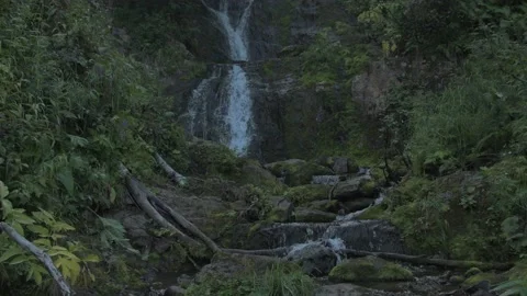 Waterfall in tropical forest surrounded by lush vegetation. Stock Footage 150364459