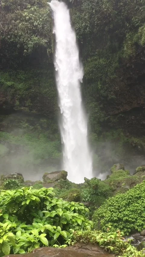 Waterfall in Tropical Forest, West Java, Indonesia. 動画素材 344401458