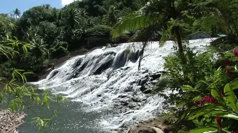 Waterfall tropical jungle Stock Footage 12574203