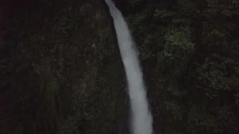 Waterfall in tropical jungle Stock Footage 161449604