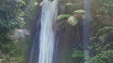 Waterfall in the tropical jungle 库存影片 251437031