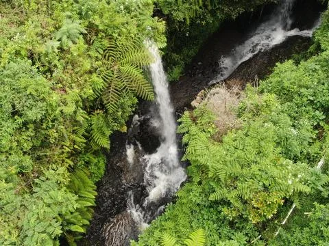 Waterfall on tropical mountain, Java, Indonesia. Stock Photos