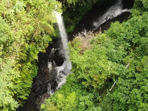 Waterfall on tropical mountain, Java, Indonesia. Stock Photos
