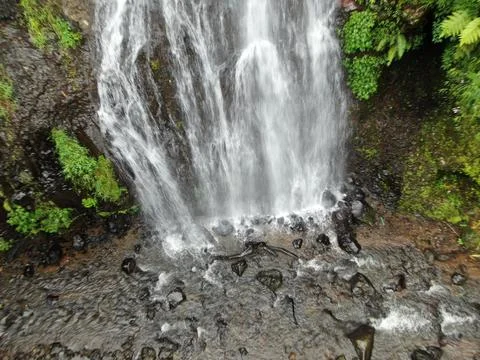 Waterfall on tropical mountain, Java, Indonesia. Stock Photos