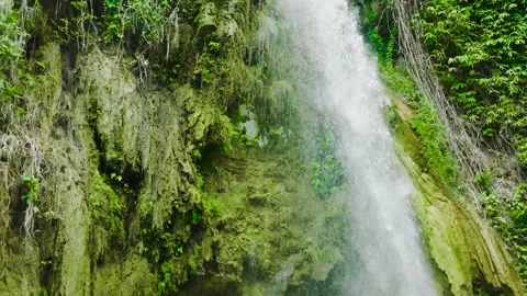 Waterfall in the tropical mountain jungle. Stock Footage 243487457
