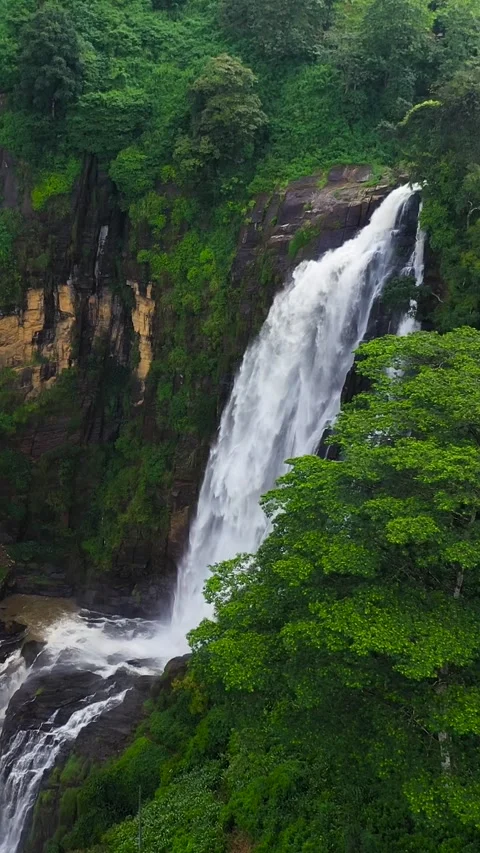 Waterfall in the tropical mountain jungle. Stock Footage 252185673