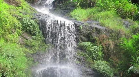 Waterfall Tropical Nature Stock Footage 40688168