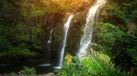 Waterfall In Tropical Paradise (Loop) Stock Footage