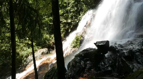 Waterfall in tropical rain-forest Stock Footage 57313769