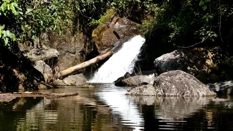 Waterfall in tropical rain forest. Vídeos de archivo 74903437