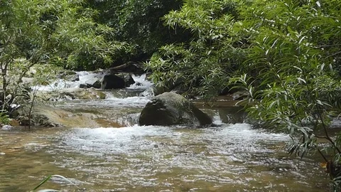 Waterfall in tropical rain forest. Video stock 76958688