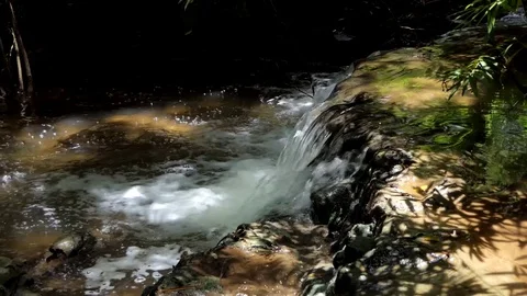 Waterfall in tropical rain forest. Stock Footage 79030794